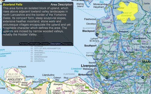 WoodlandCalc Area Description